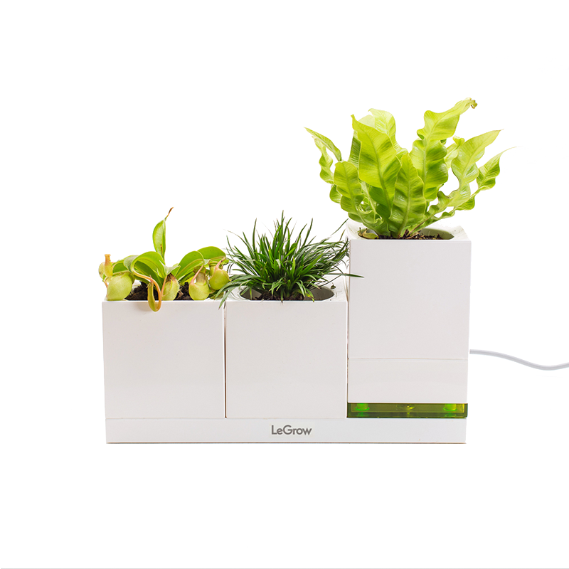 Bộ 3 chậu trồng cây thông minh tích hợp đế sạc di động Legrow - Family Green