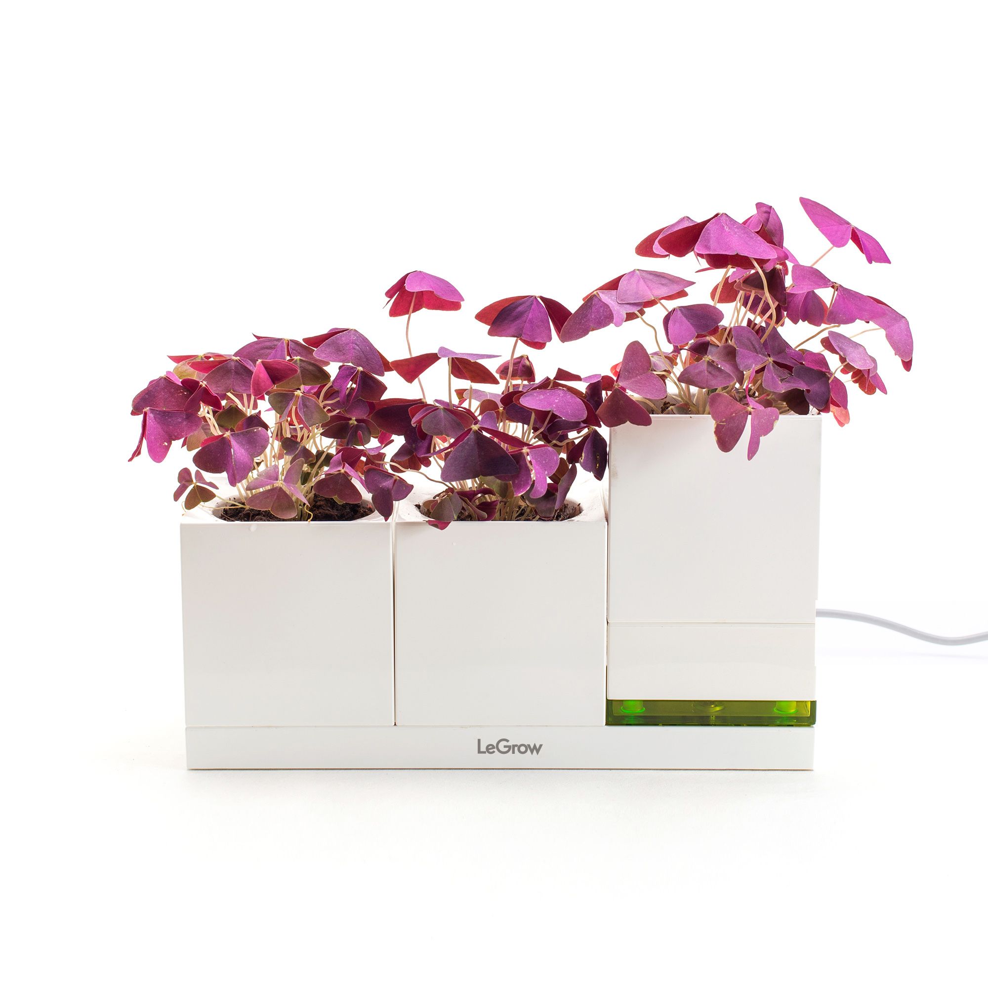 Bộ 3 chậu trồng cây thông minh tích hợp đế sạc di động Legrow - Family Green