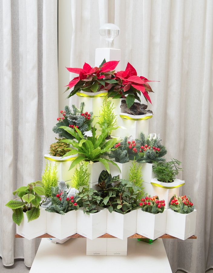 Combo Cây Thông Giáng Sinh Legrow - Christmas Tree