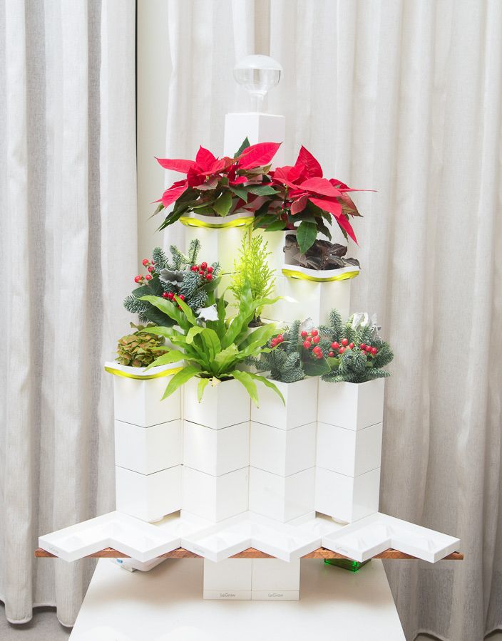Combo Cây Thông Giáng Sinh Legrow - Christmas Tree