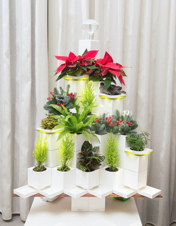 Combo Cây Thông Giáng Sinh Legrow - Christmas Tree