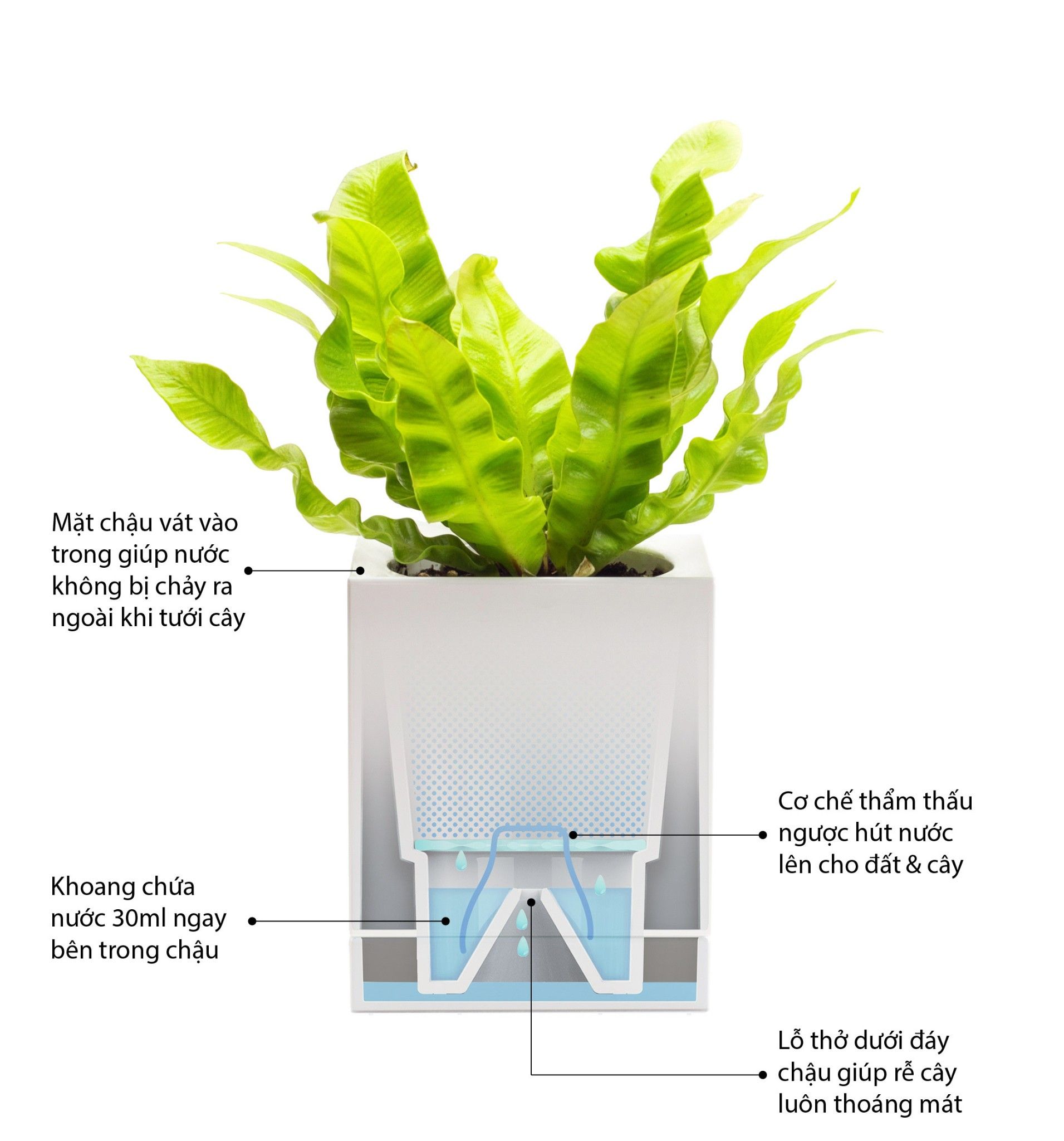 Chậu trồng cây thông minh Legrow - Growing Pot