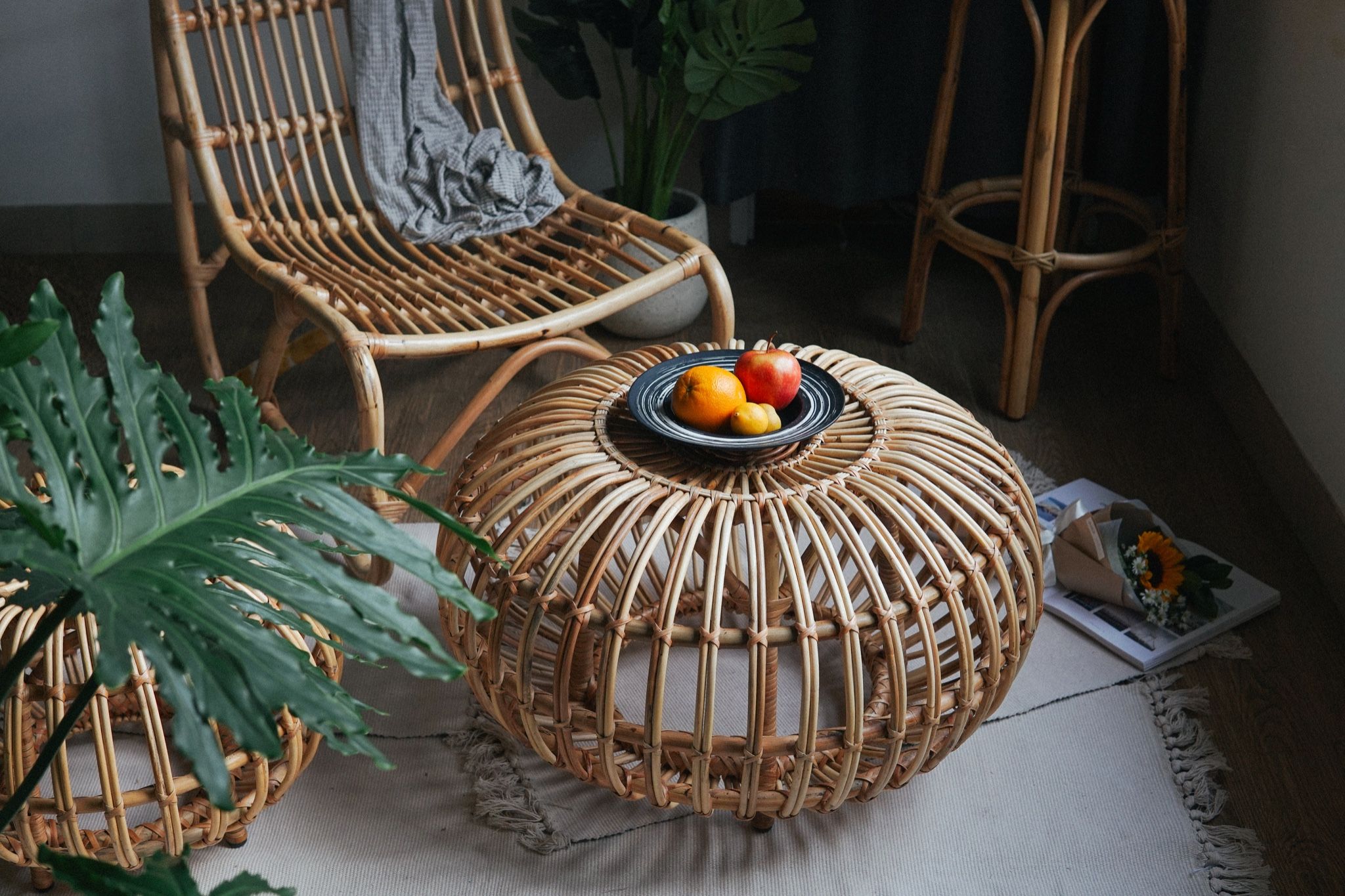ĐÔN BÍ TRÒN NHỎ