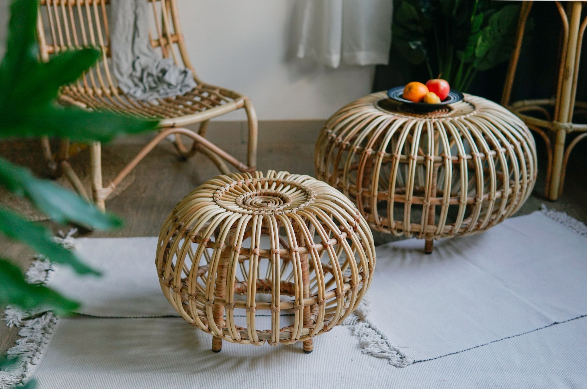 ĐÔN BÍ TRÒN NHỎ