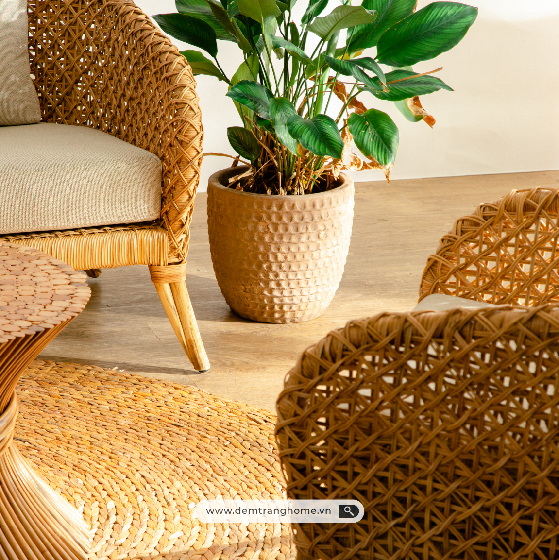 SOFA TỔ CHIM NESTY - SOFA MÂY TỰ NHIÊN BĂNG DÀI 3 CHỖ 1M8