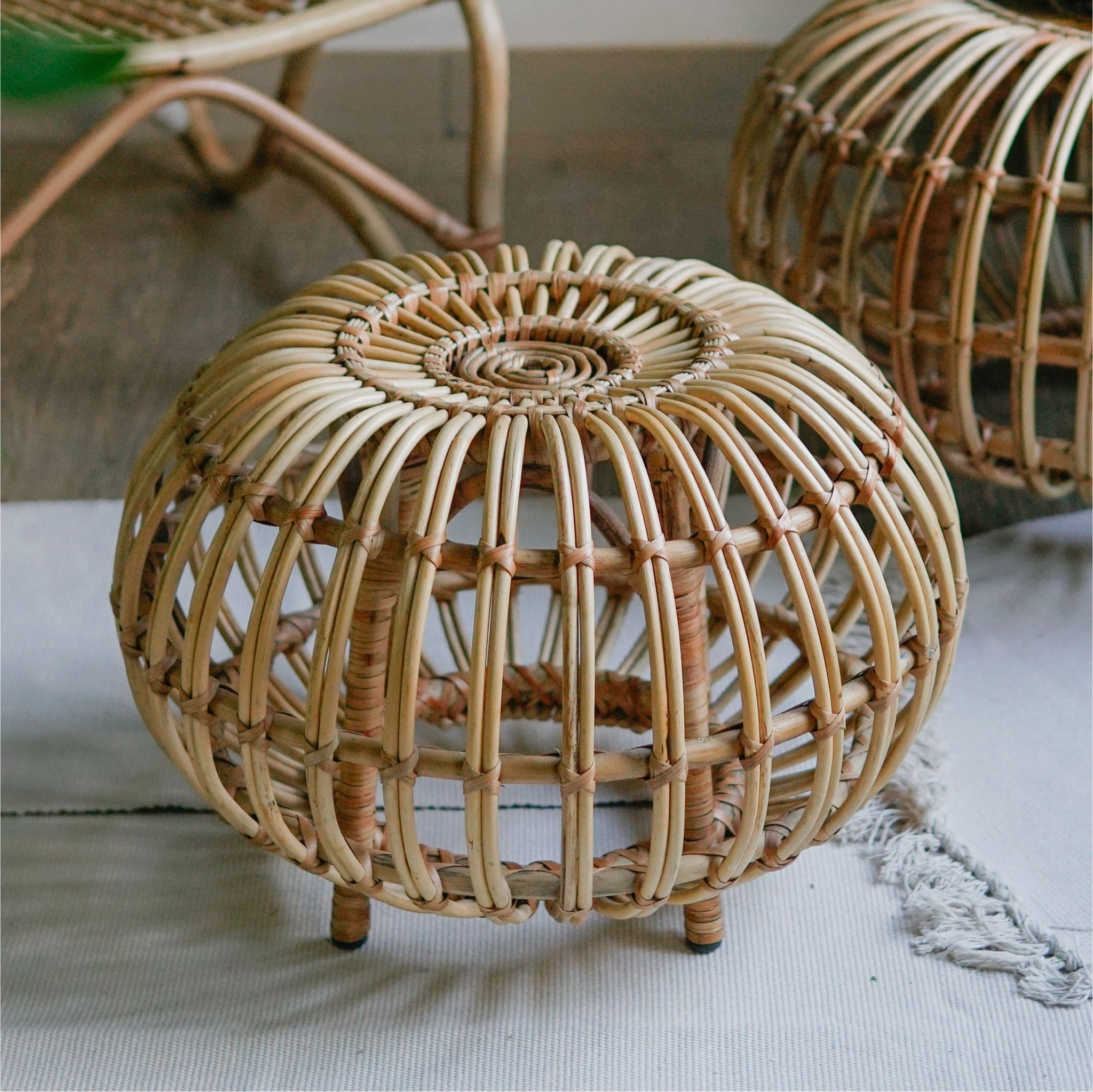 ĐÔN BÍ TRÒN NHỎ