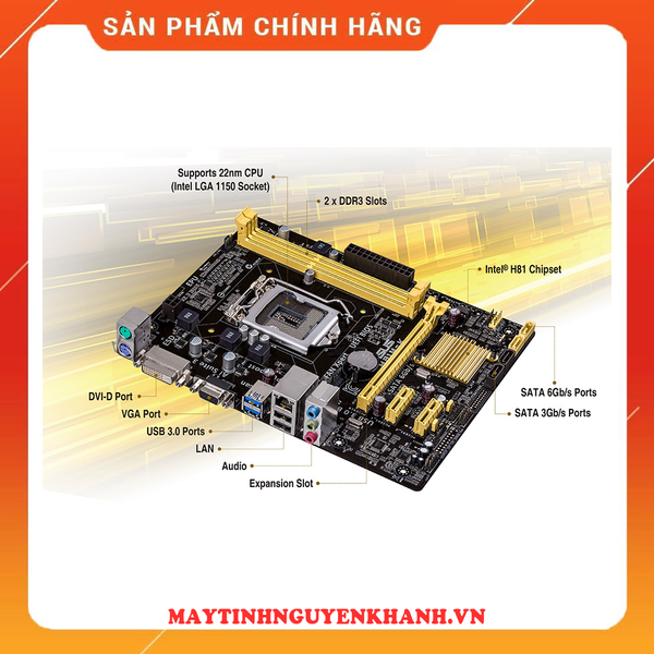 Mainboard Asus H81 (MD/ME) Renew BH 36 THÁNG