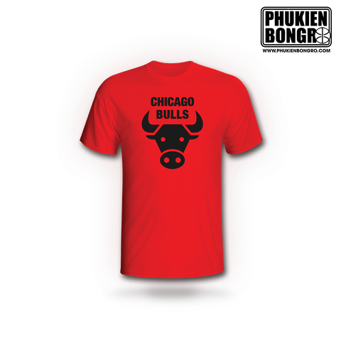  Áo phông bóng rổ Chiacago Bulls 