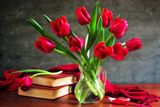Hoa Tulip - Loài hoa đa sắc màu và ý nghĩa