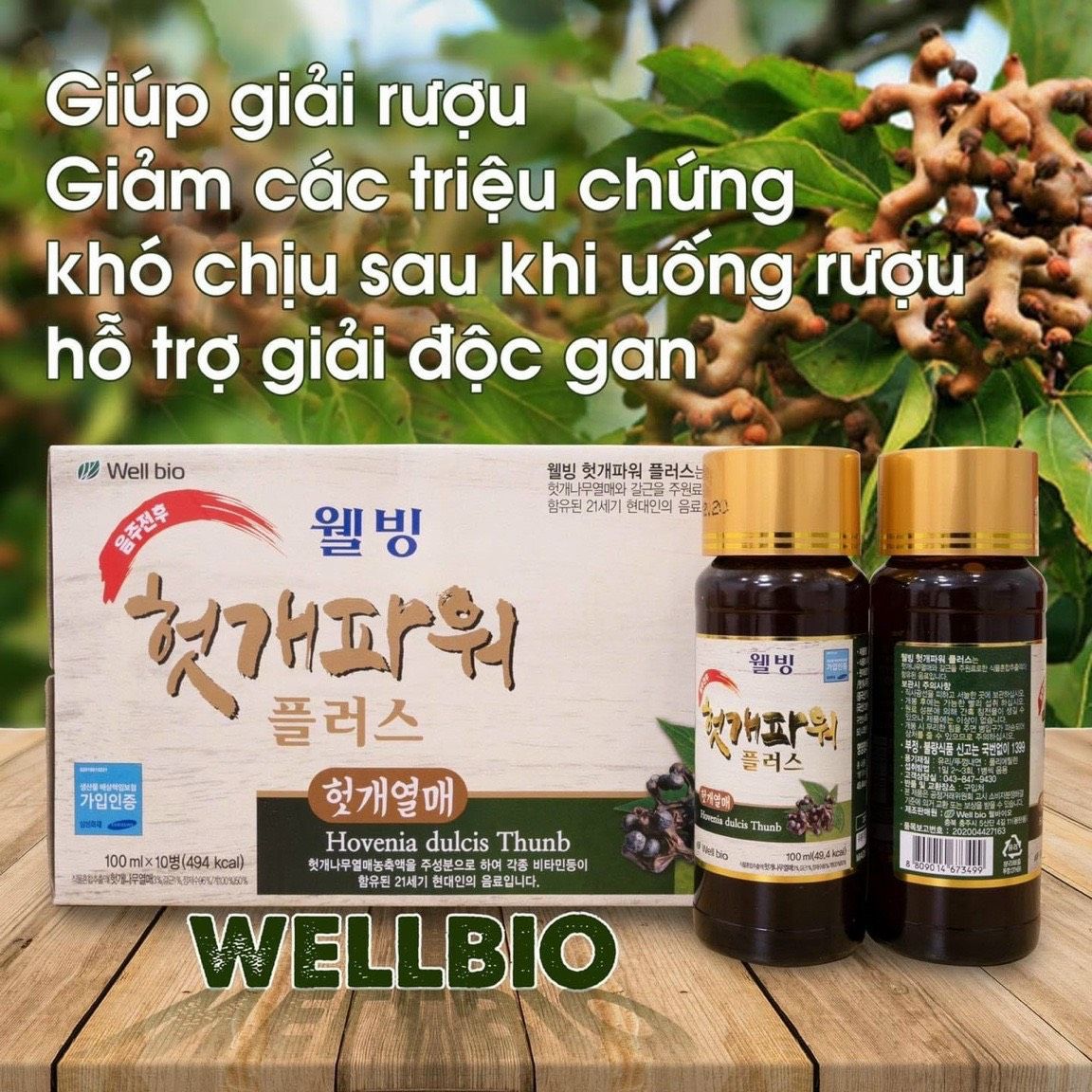  Nước giải rượu WellBio (100ml x 10 chai) - Nhập khẩu Hàn Quốc 