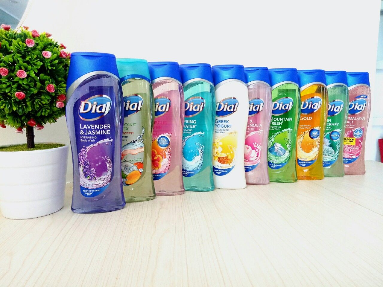 Sữa Tắm Dial SKIN THERAPY 473ml - Hàng Mỹ