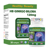 HB GINKGO BILOBA 120mg