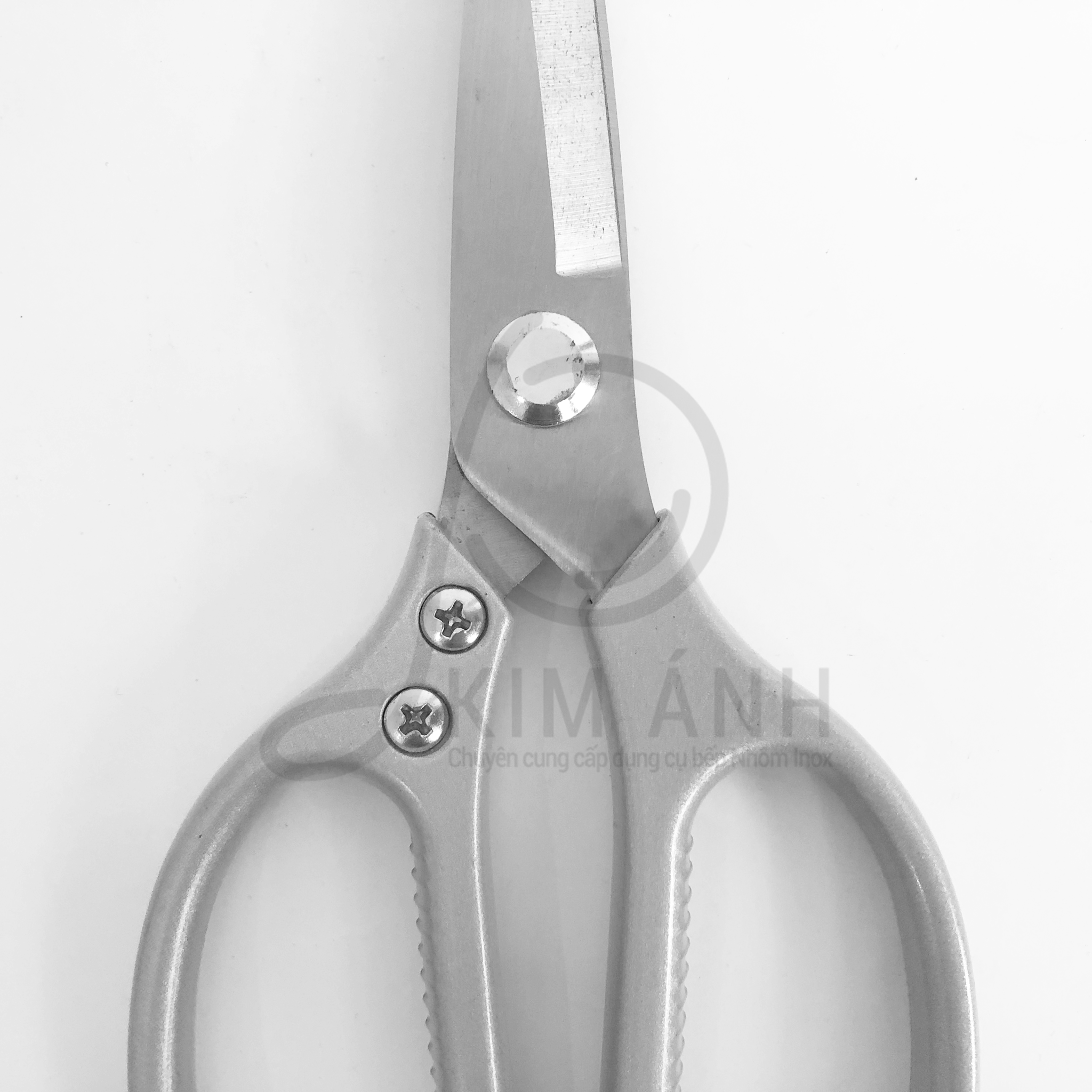 Kéo Inox SK5