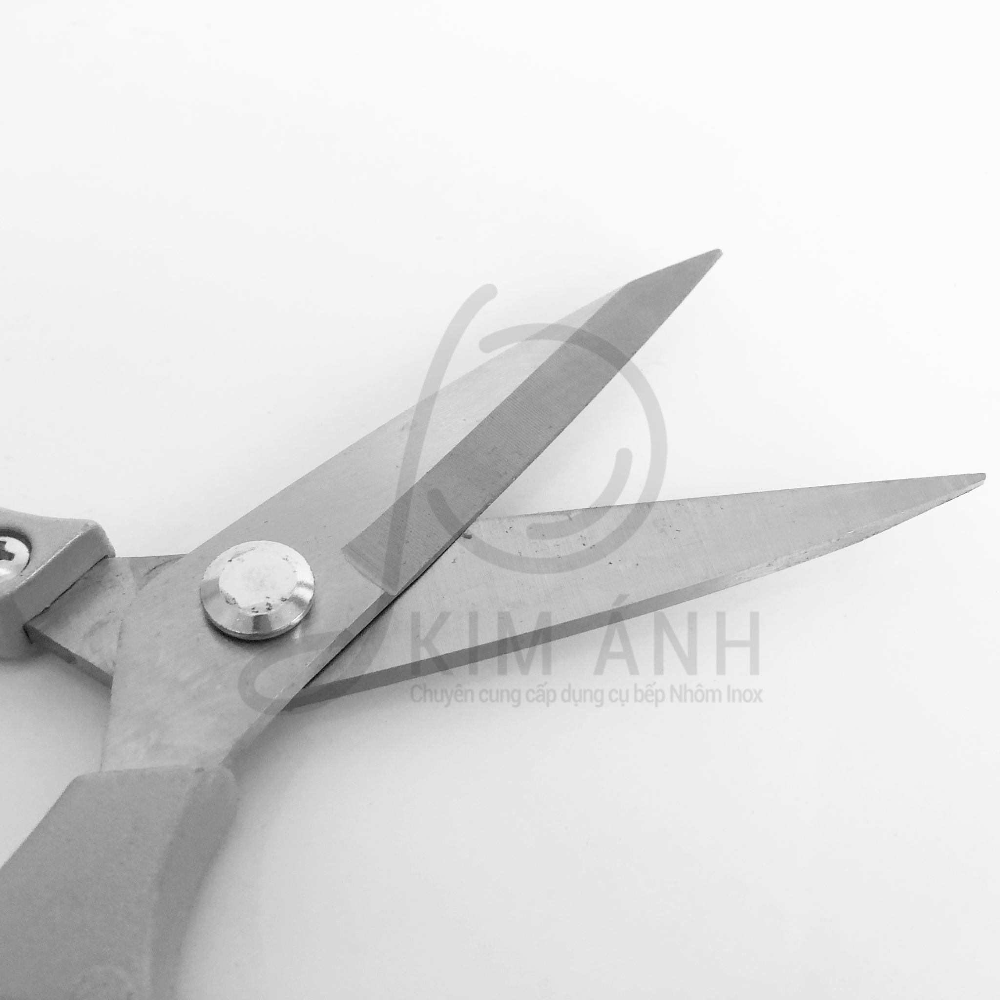 Kéo Inox SK5