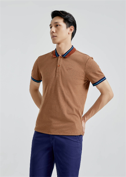 Áo polo bo viền