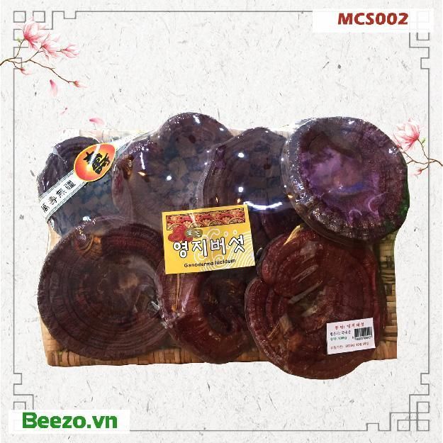 NẤM LINH CHI 1kg thượng hạng - Hàn Quốc MCS002