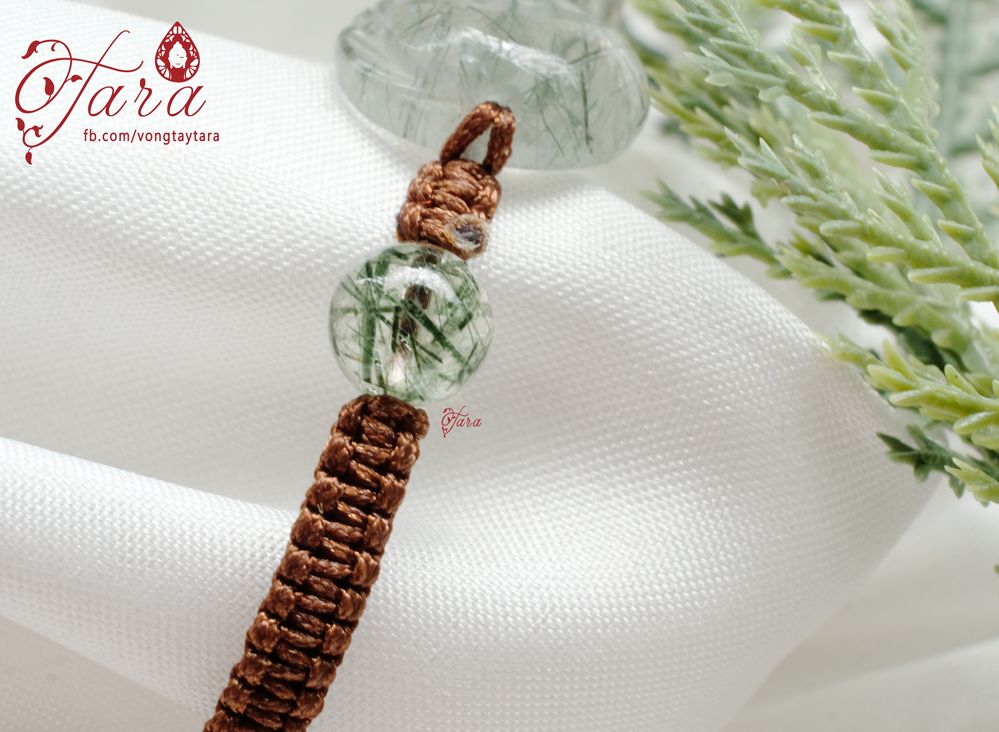 Dây vải thắt - Hồ ly thạch anh tóc xanh