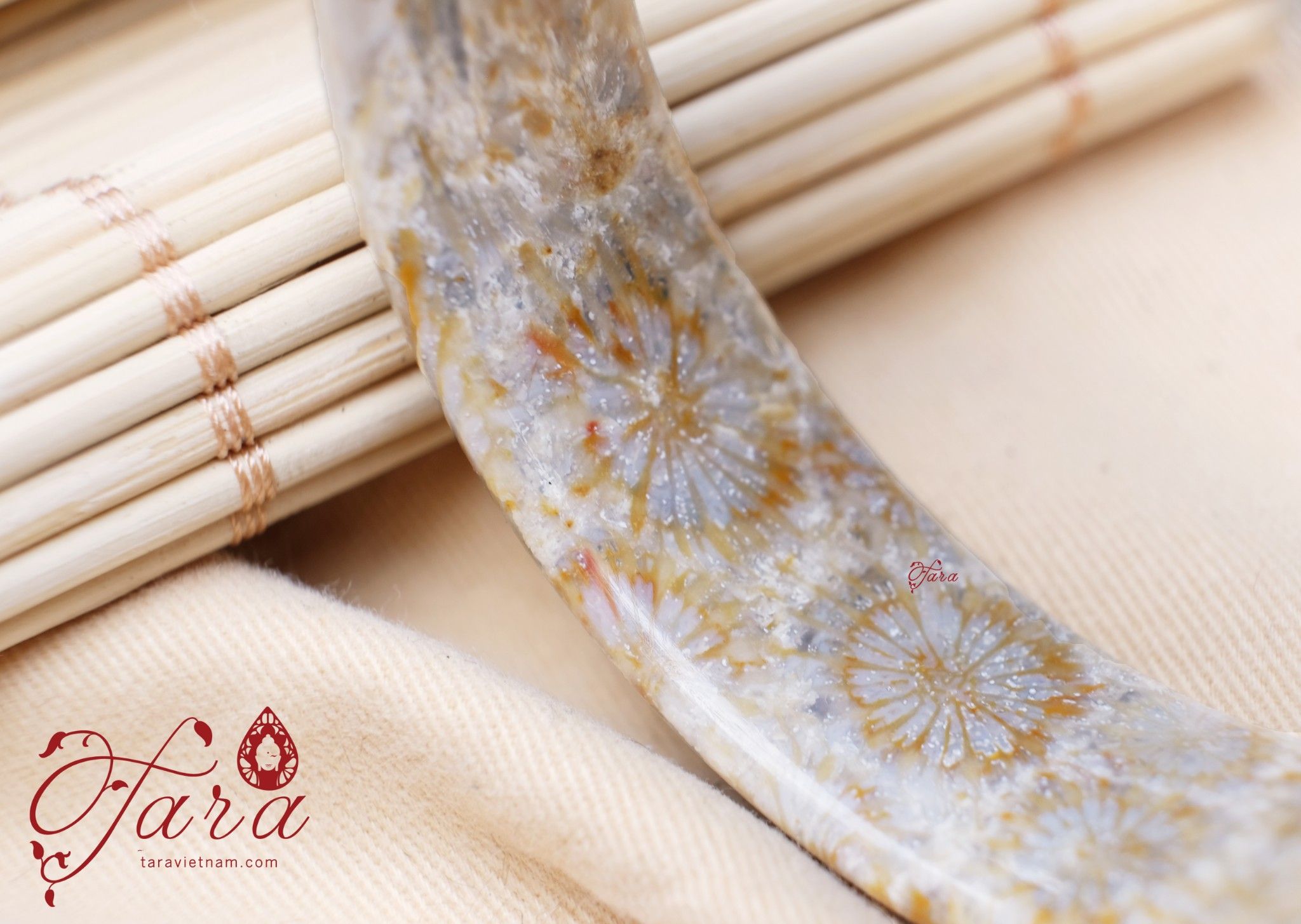 Vòng Bản San Hô Hoá Thạch vân hoa cúc