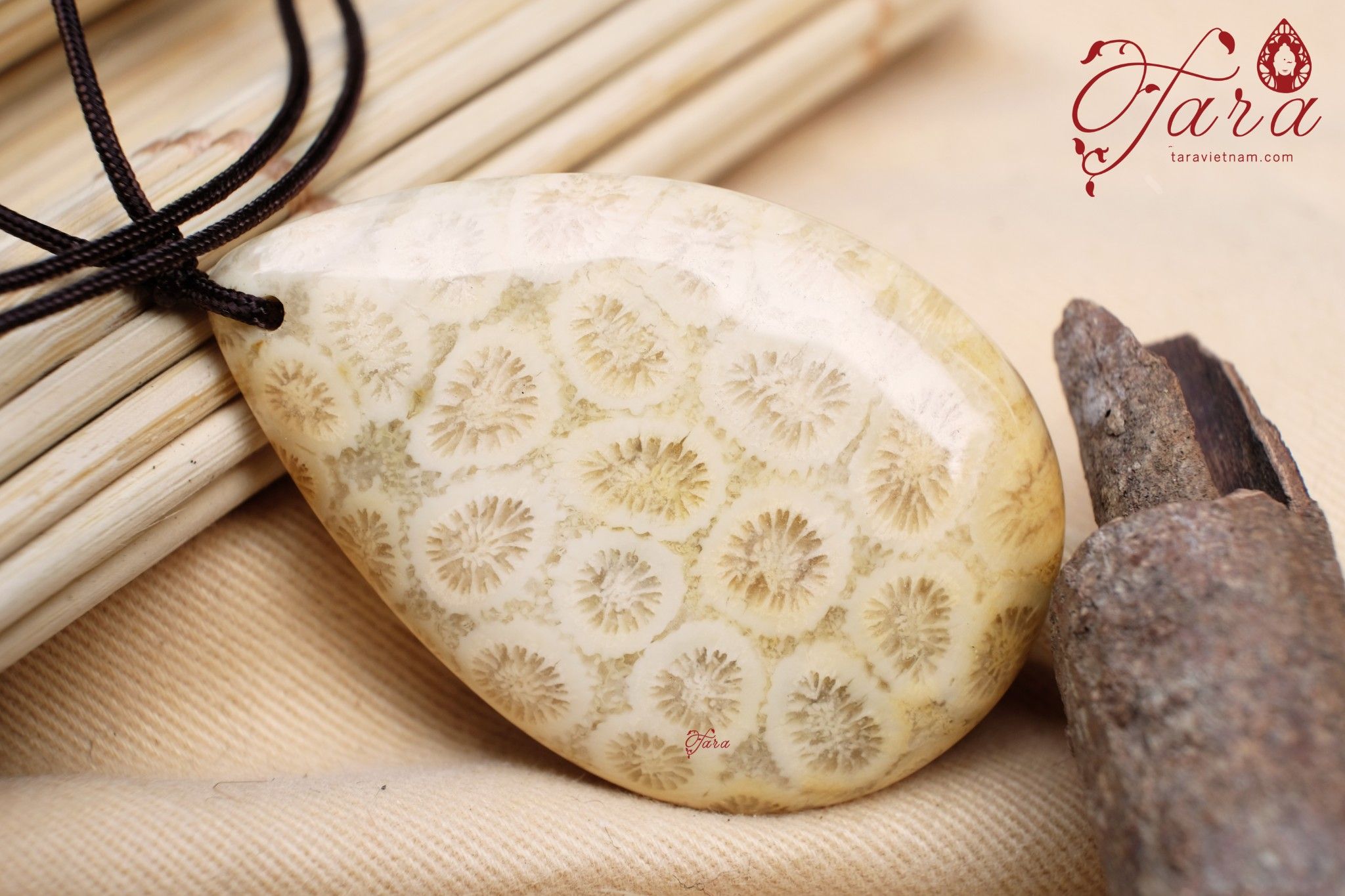 Mặt dây San Hô Hoá Thạch vân hoa cúc