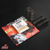 Lò Xo Nồi Ninja 250 / R25 / CBR250 / R3 / MT03 (50.1 - 19.9 - 4Pcs)