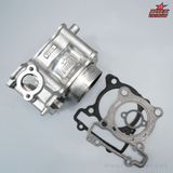 Lòng Gang 62.00 Ex155 / NVX / R15v3 Dáng zin Chân 22.5 (Kèm ron)