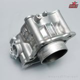 Lòng Gang 62.00 Ex155 / NVX / R15v3 Dáng zin Chân 22.5 (Kèm ron)