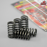Lò Xo Nồi Super Spring SatriaFi / Raider / GSX150 (31 x 16 x 10 x 5Pcs)