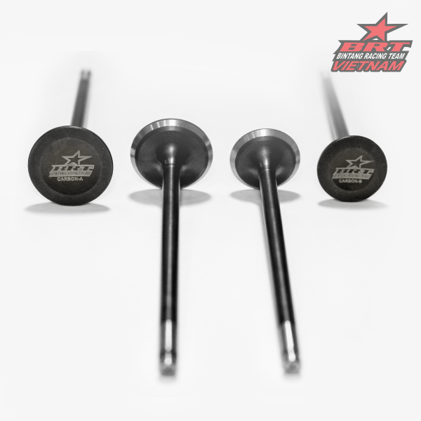 Xupap BRT 19/22 Exciter / Fz150 / R15 v2 / TFX150