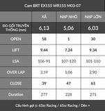 Cam BRT Ex155 WR155 (1 Chốt bánh cam)