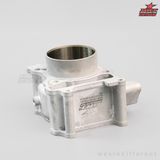Lòng BRT Ceramic 65.00 Vario160 Lead4v Chân 25.8 (Kèm ron)