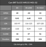  Cam BRT Ex155 WR155 (1 Chốt bánh cam) 