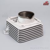  Bộ Lòng Trái 66 BRT:  Lòng Ceramic và Piston nén 66mm Raider xăng cơ/  Satria xăng cơ/ Belang 