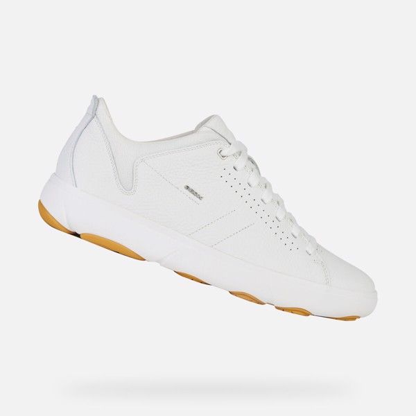 Giày Sneakers Nam Geox U Nebula Y A