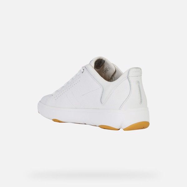 Giày Sneakers Nam Geox U Nebula Y A