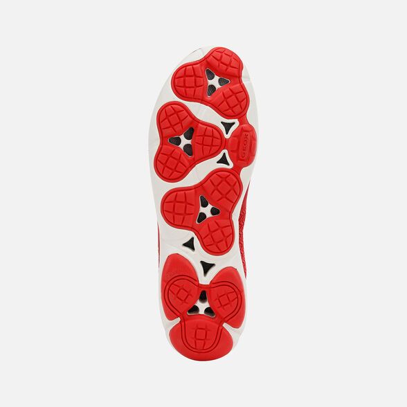 Giày Sneakers Nữ Geox D Nebula B