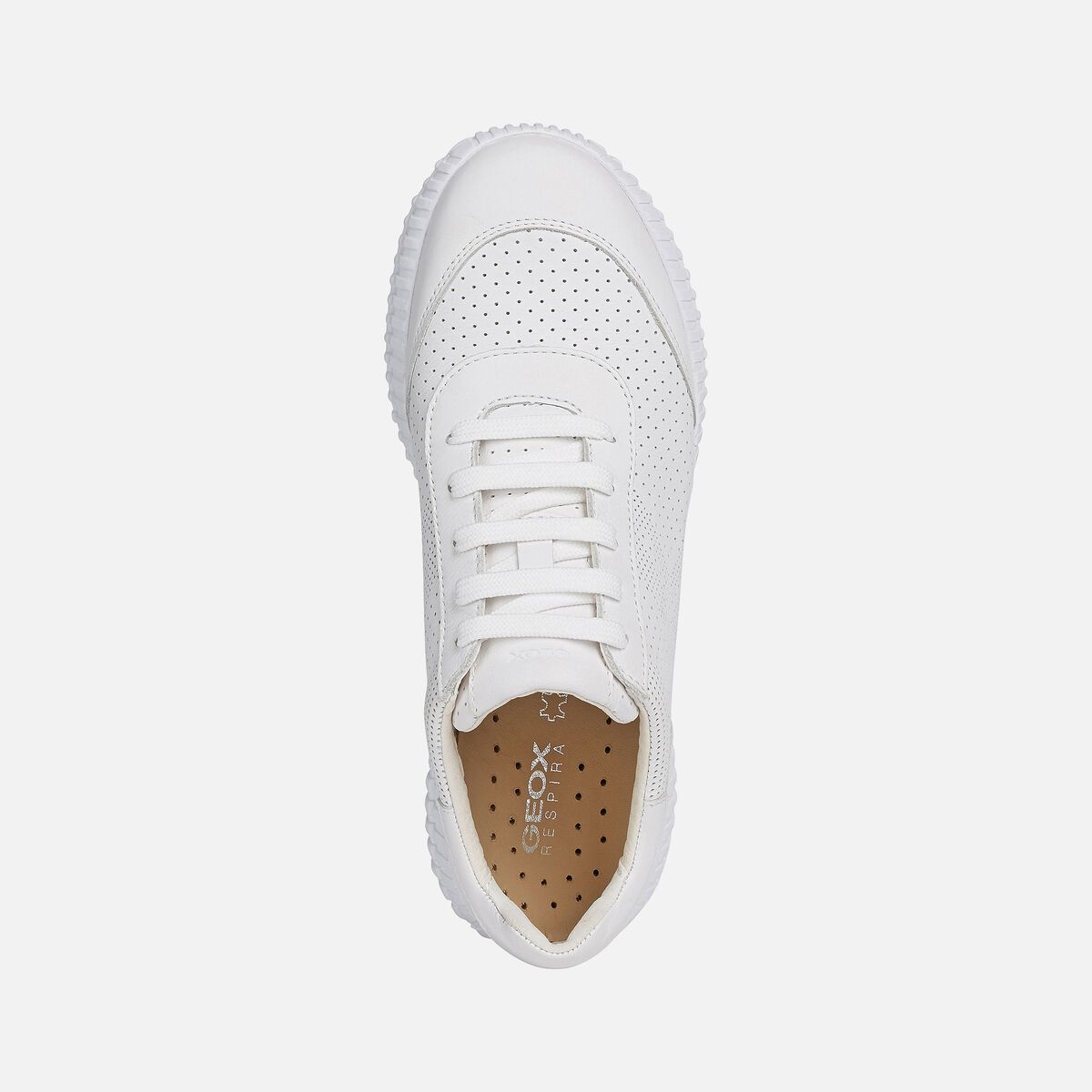 Giày Sneaker Nữ Geox D Noovae C