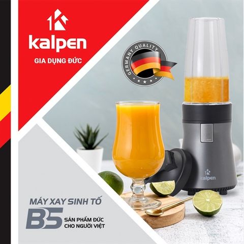 Máy xay sinh tố Kalpen B5 700w