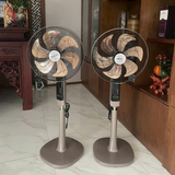 Quạt cây Lorente LT5595 (có điều khiển)