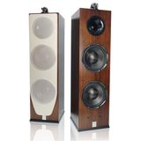 Loa Hi-Fi CAVS TL210