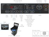Máy giặt Toshiba AW-M905BV(MK) 8kg