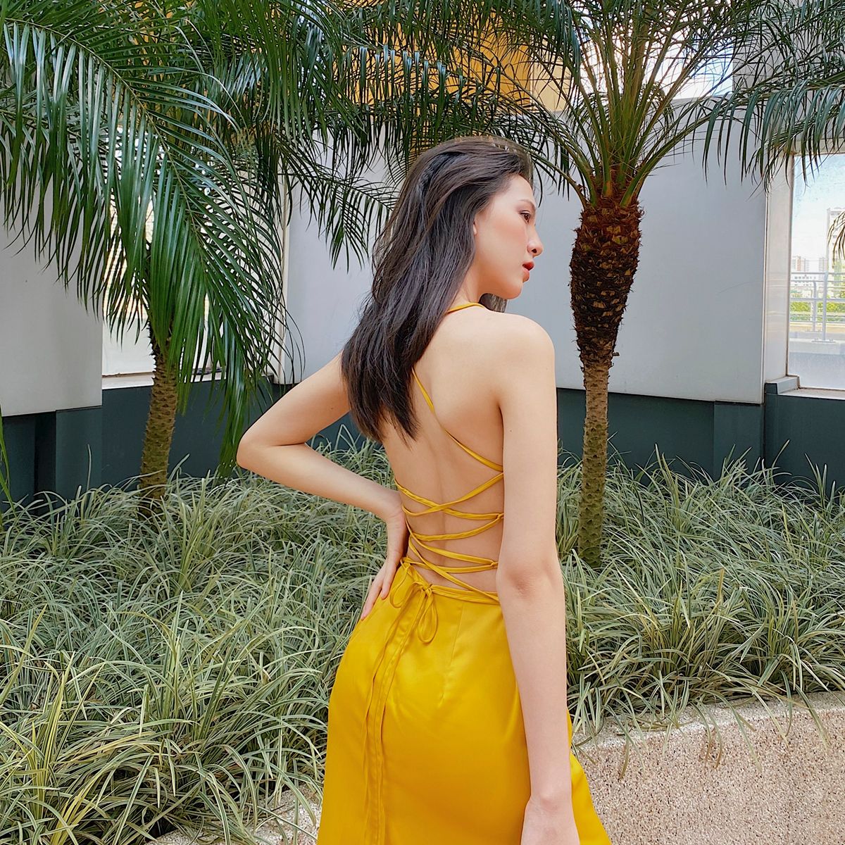 Alicia Dress
