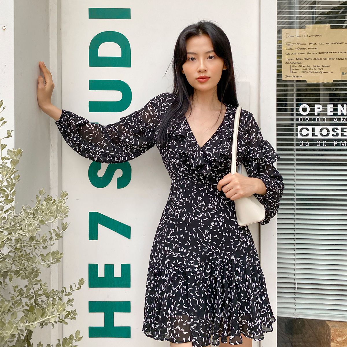 Lizette Dress