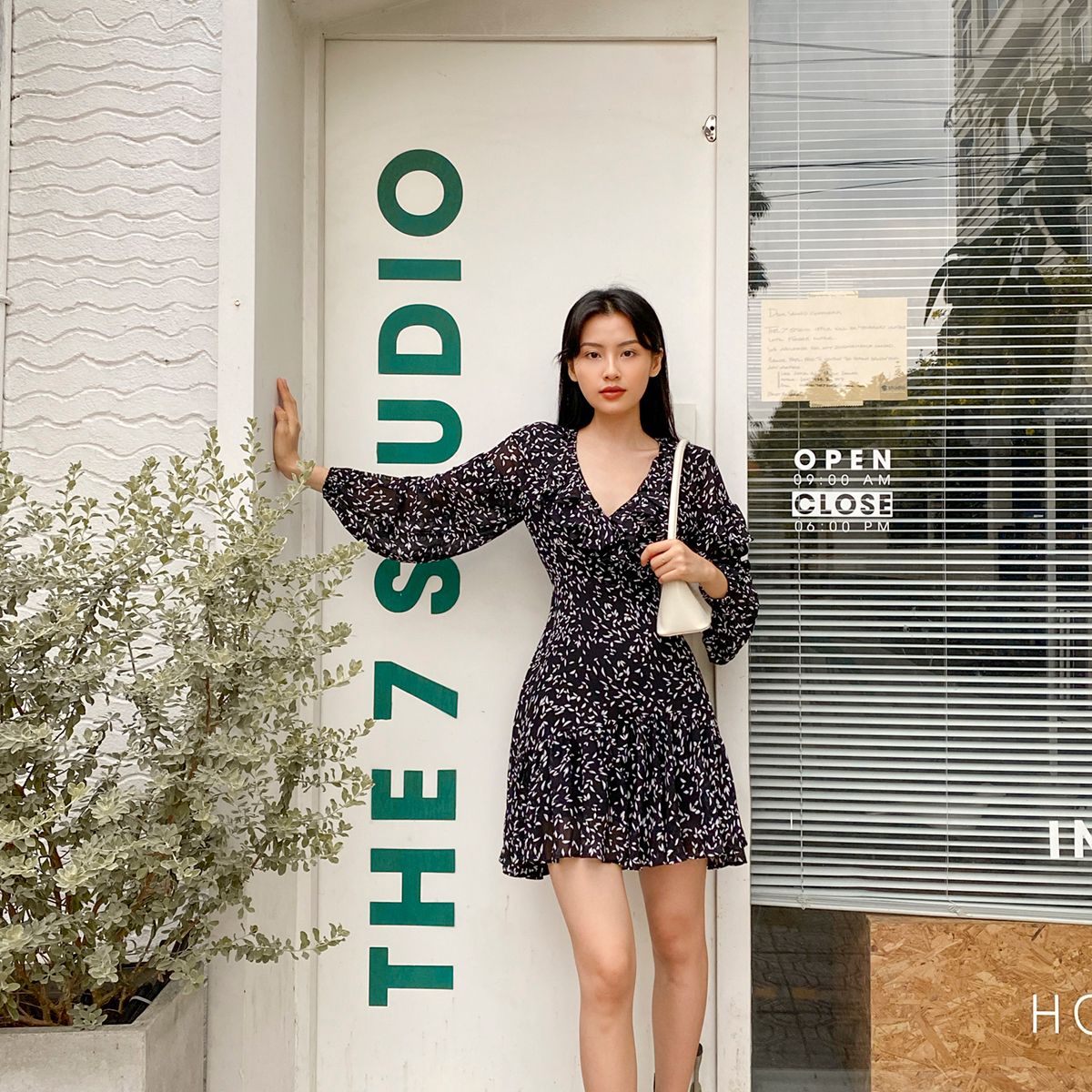 Lizette Dress