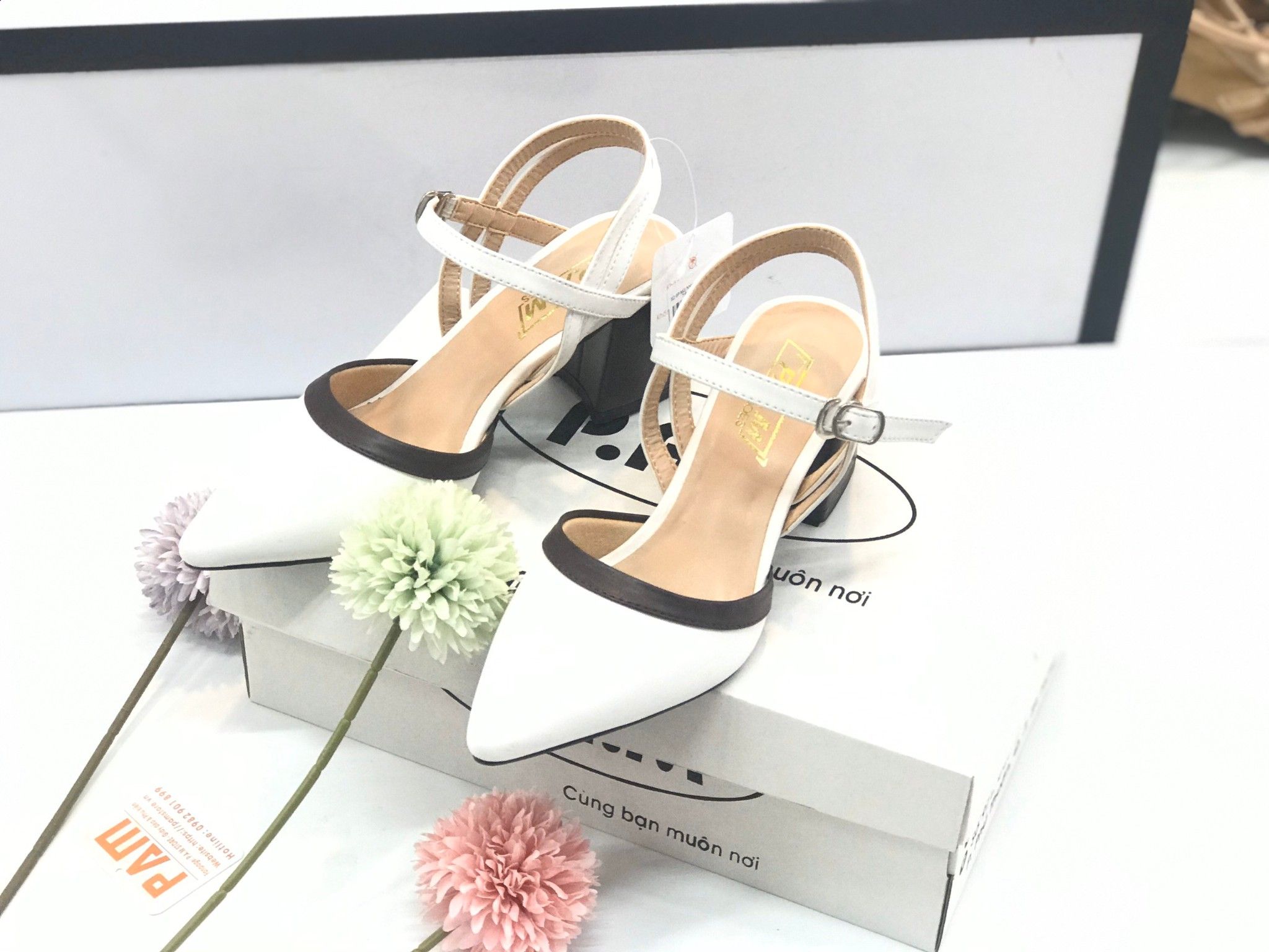 SD 5P Mũi Nhọn Viền Nâu