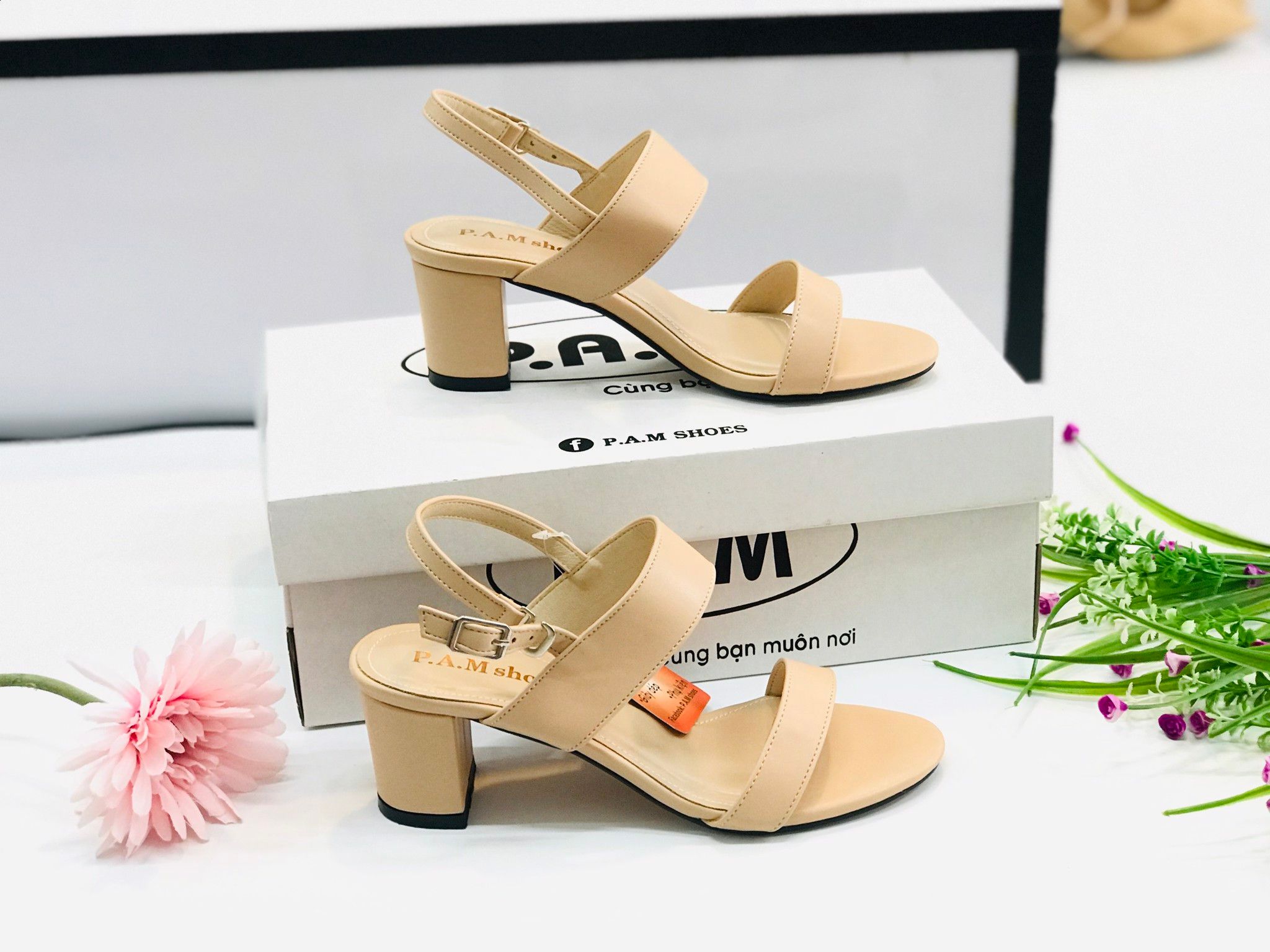 SD 5P Quai Ngang lớn