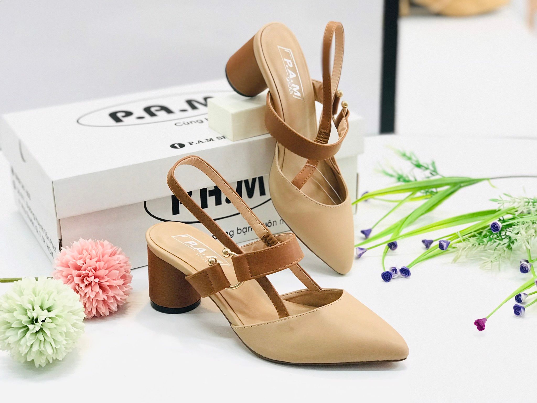 SD 5P Mũi Nhọn Đế Tròn