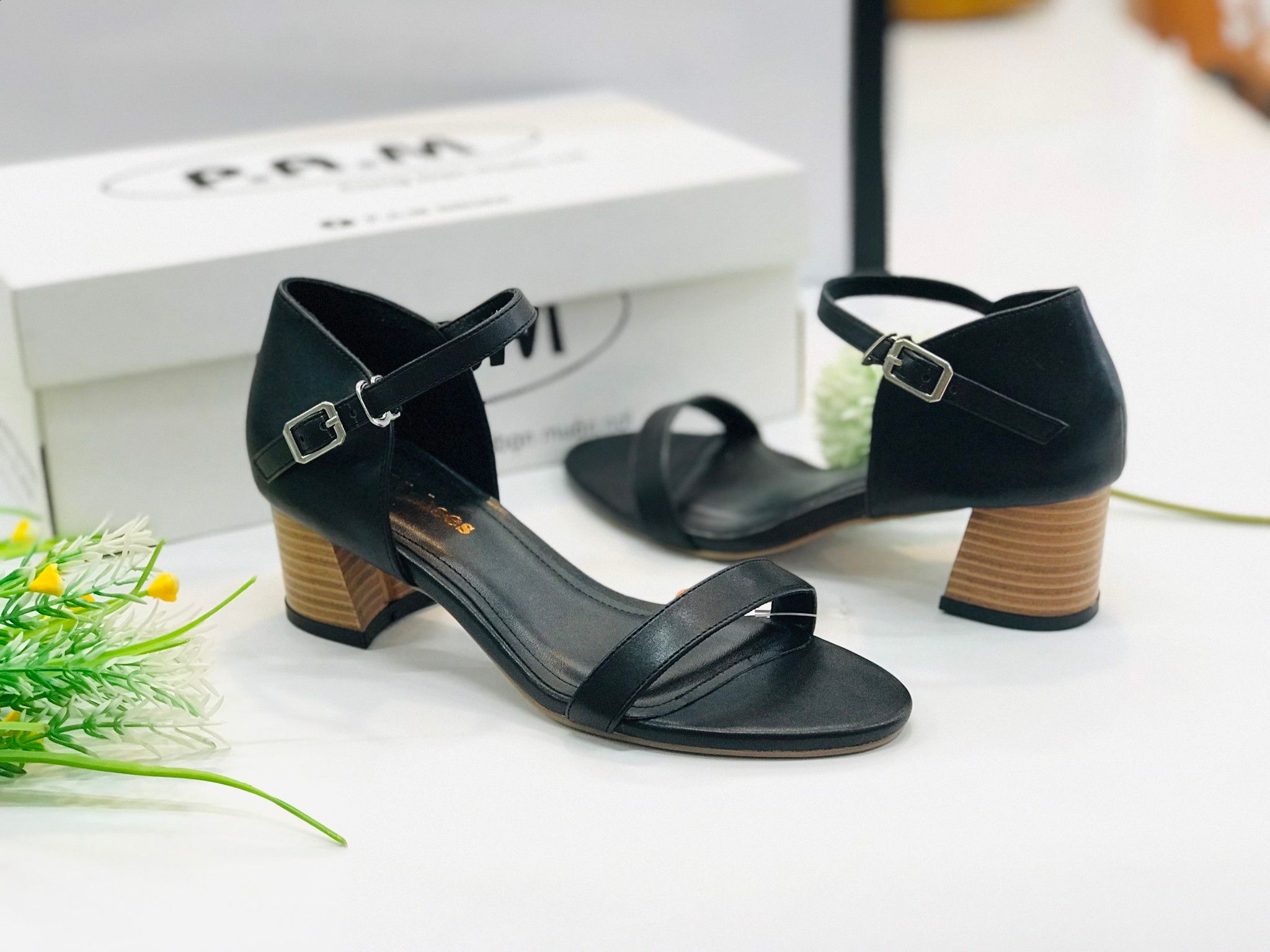 SD 5p Quai Ngang hậu gót