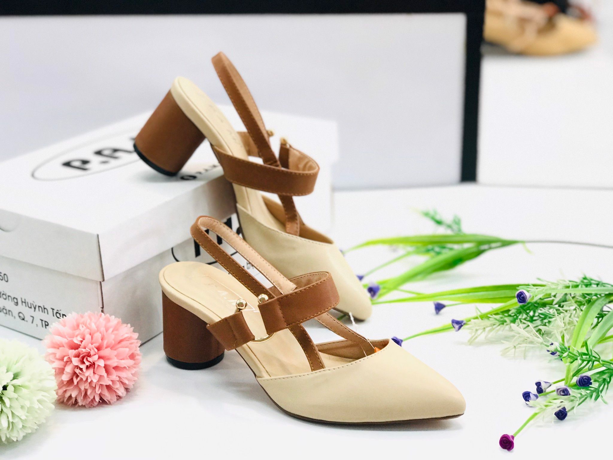SD 5P Mũi Nhọn Đế Tròn