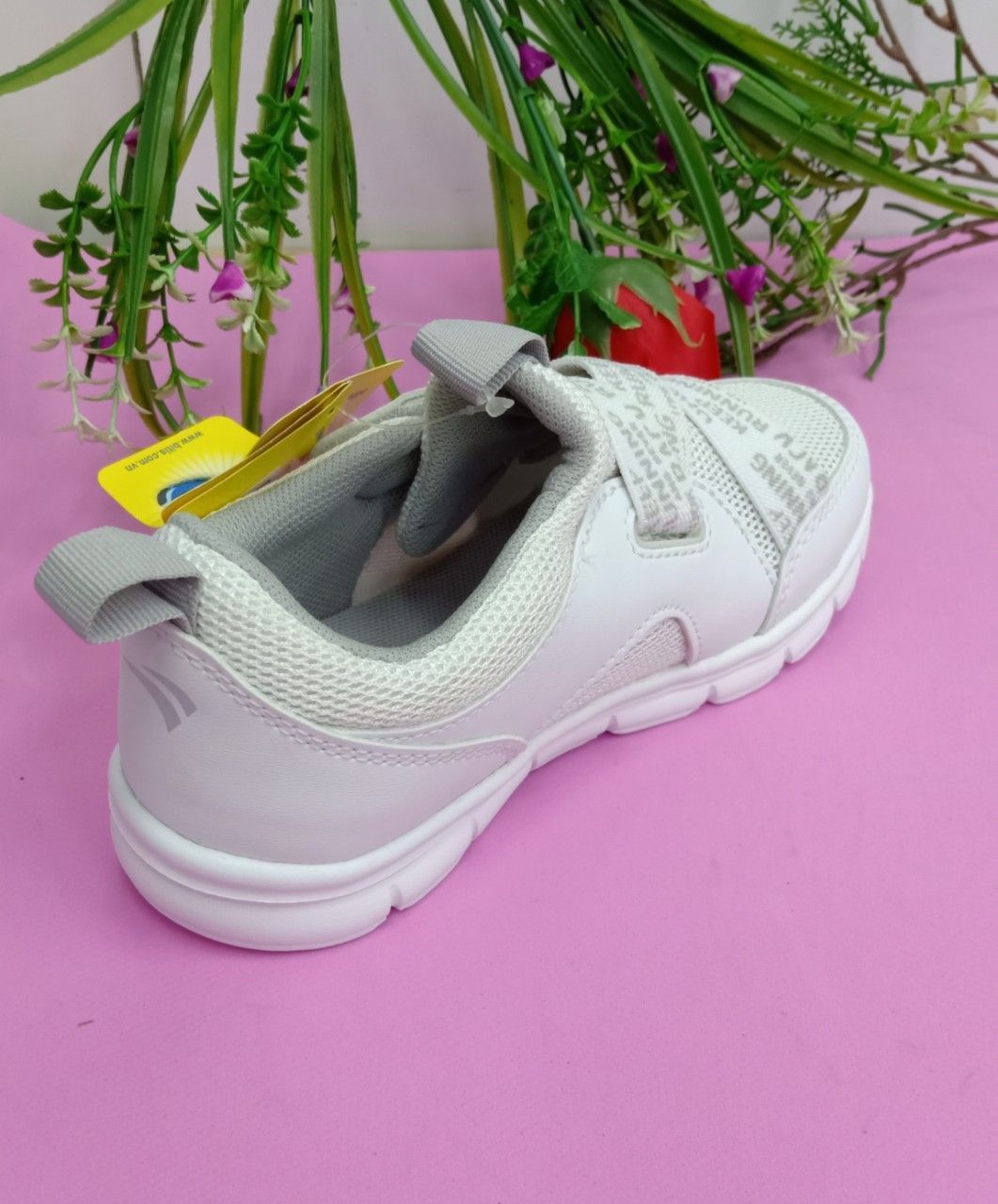 DSG000300