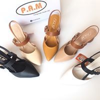 SD 5P Mũi Nhọn Đế Tròn